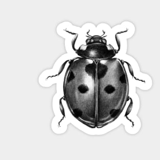 Ladybug Sticker